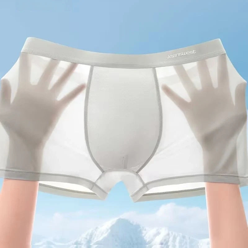 Ice-Silk Microfiber Boxer Shorts – BoxIce